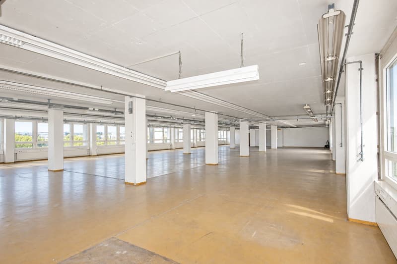 Büro-, Gewerbe- oder Lagerfläche zu attraktiven Konditionen! (3)