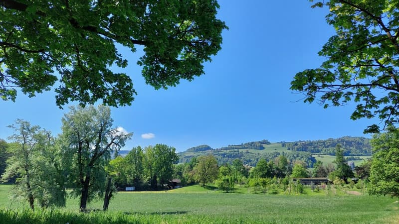 Elfenau mit Gurten