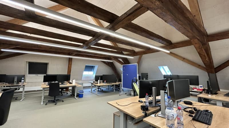Edificio storico residenziale e commerciale nel cuore di Olten (3)