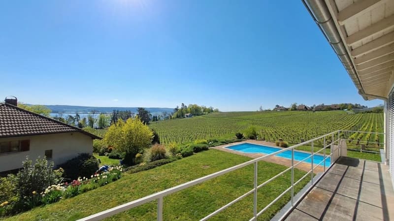Exceptional villa with spectacular views of the lake and St. Pierre Island (6)