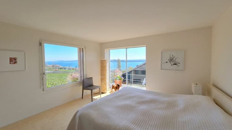 Exceptional villa with spectacular views of the lake and St. Pierre Island (7)