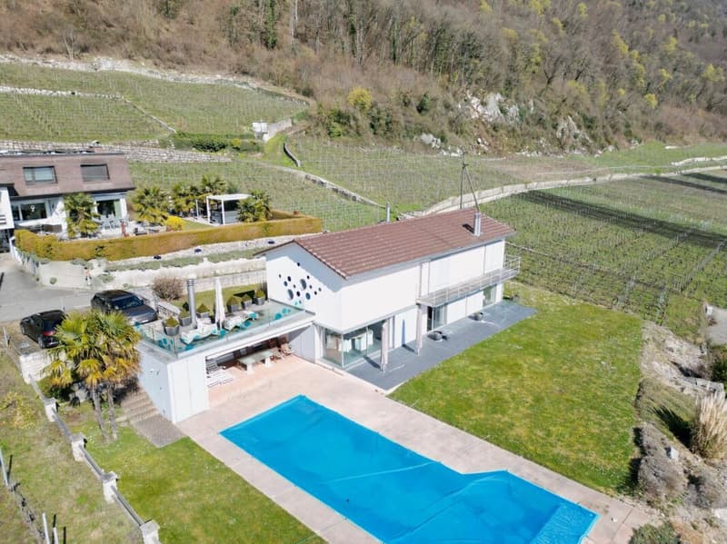 Exceptional villa with spectacular views of the lake and St. Pierre Island (2)