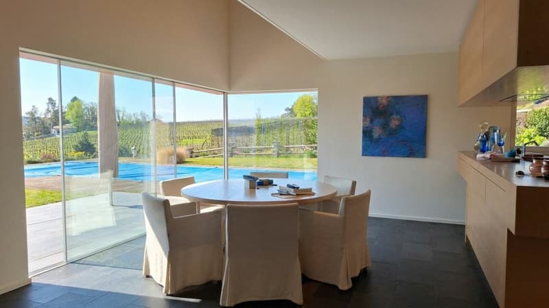Exceptional villa with spectacular views of the lake and St. Pierre Island (3)