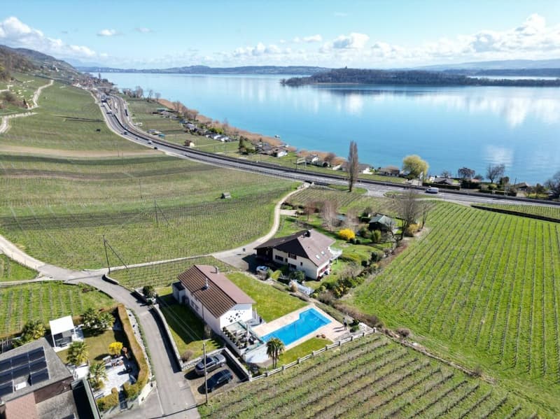Exceptional villa with spectacular views of the lake and St. Pierre Island (1)