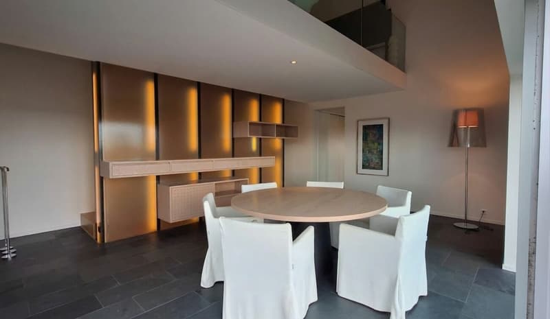Exceptional villa with spectacular views of the lake and St. Pierre Island (5)