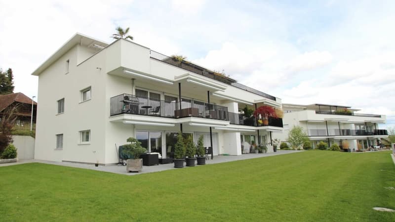 Your new dream apartment in Aeschi (1)