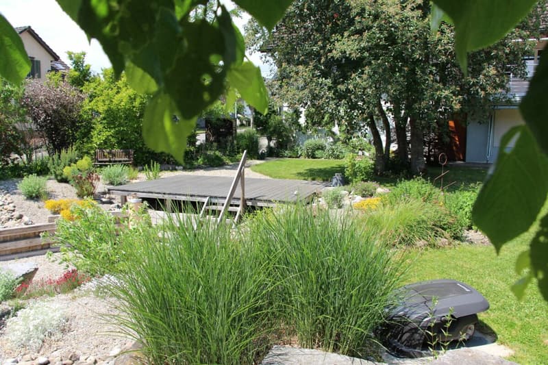 Gartenbereich mit Blick auf Naturteich