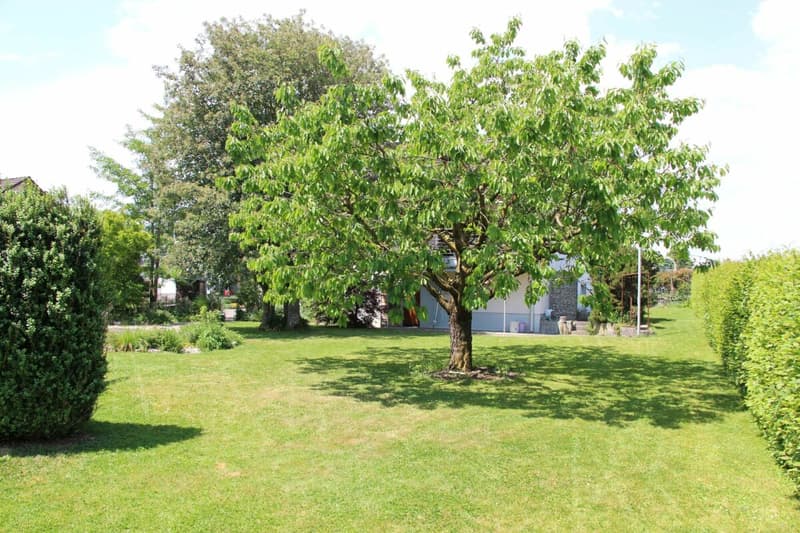 Gartenbereich
