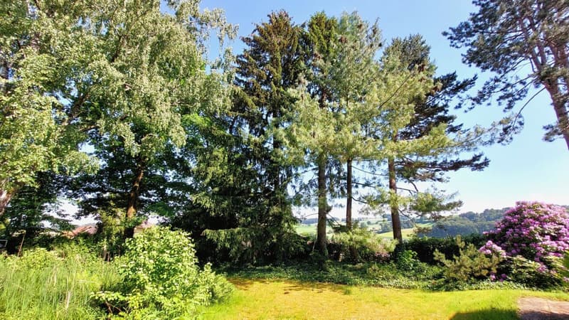 Landhaus mit grossem Garten und Baulandreserve (4)