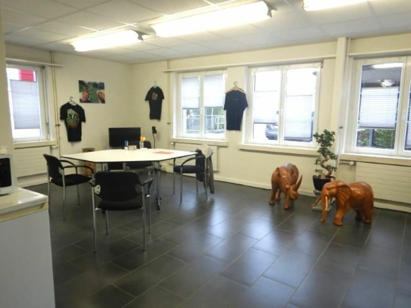 Wohn- und Gewerbeareal mit Potenzial in Leuzigen BE (Share-Deal) (28)