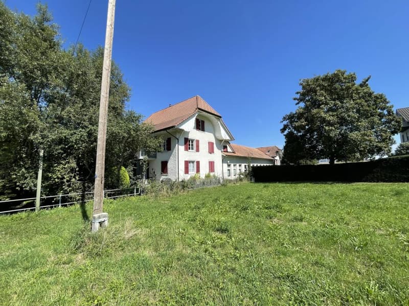Wohn- und Gewerbeareal mit Potenzial in Leuzigen BE (Share-Deal) (10)