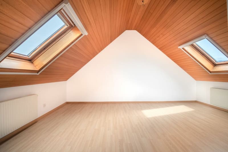 Wohn- und Gewerbeareal mit Potenzial in Leuzigen BE (Share-Deal) (16)