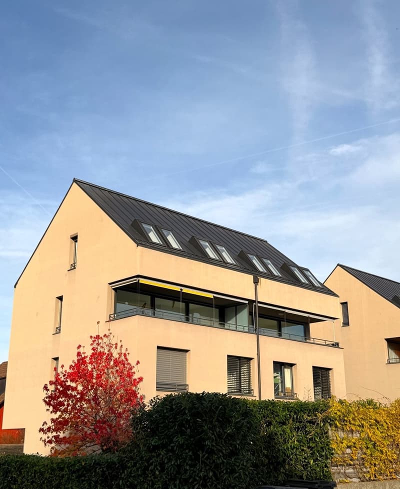 Aussenansicht (vorne) 1