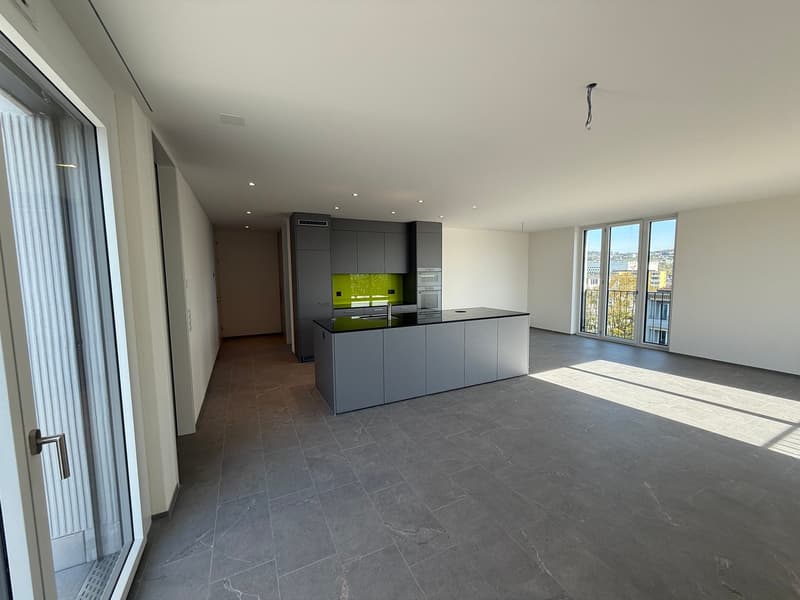 Grand, unique appartement en attique de 2,5 pièces dans un immeuble neuf pour les amoureux de terrasses (2)