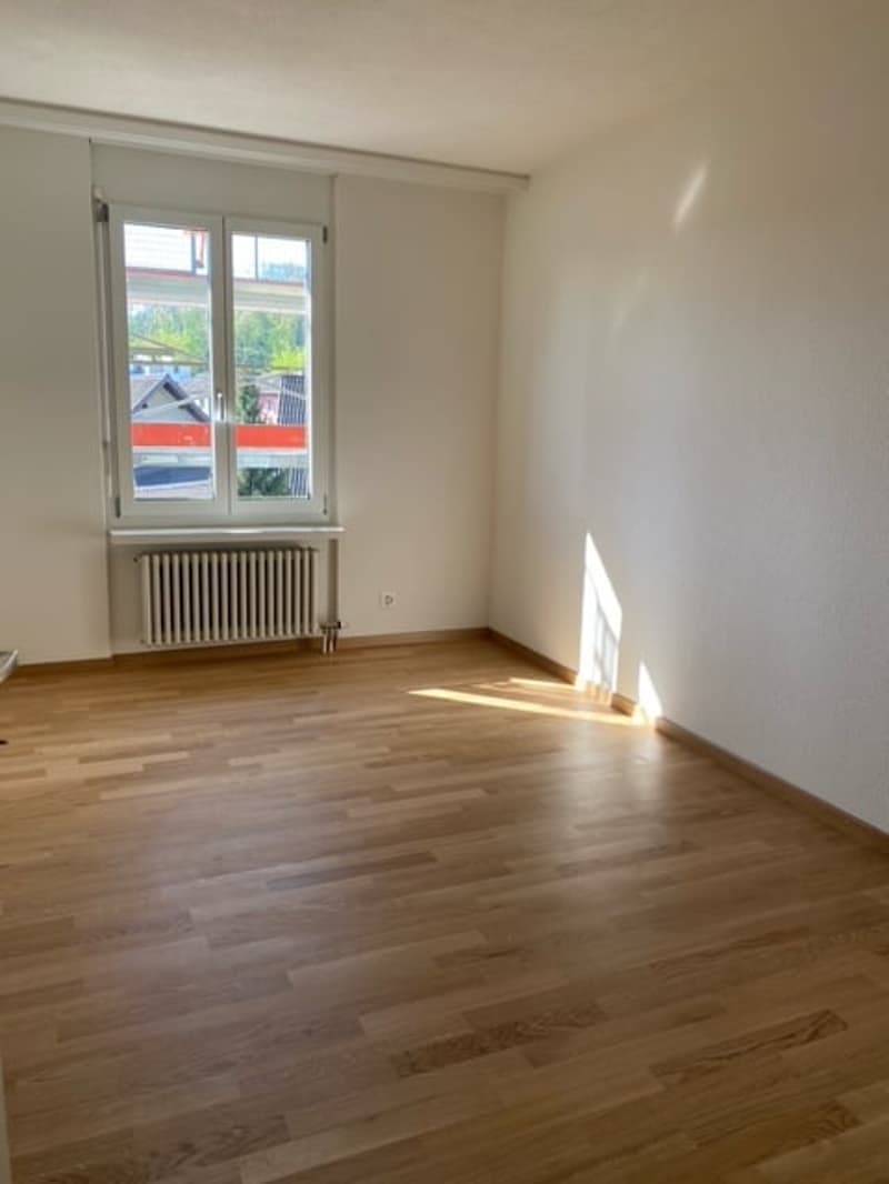 Appartamenti di 4 locali e mezzo ristrutturati in affitto in una zona tranquilla! (6)