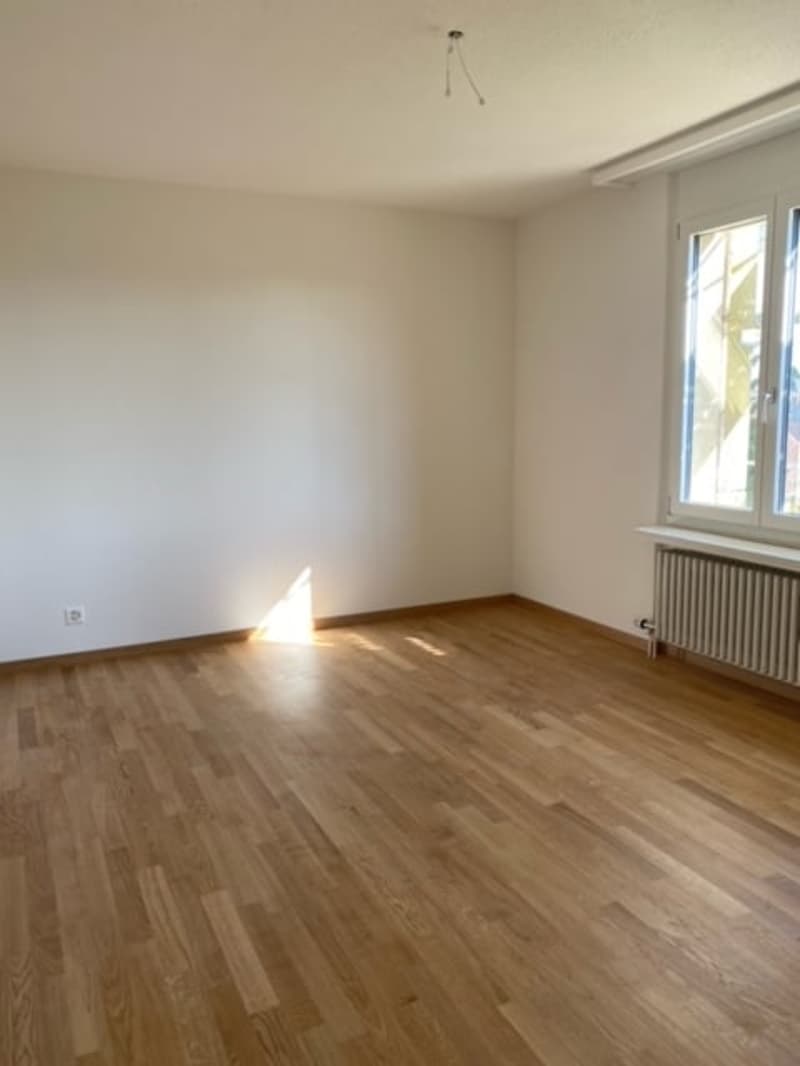 Appartamenti di 4 locali e mezzo ristrutturati in affitto in una zona tranquilla! (5)