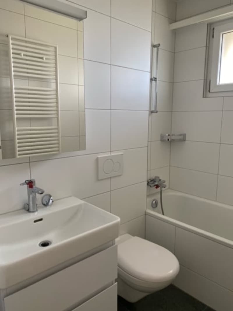 Appartamenti di 4 locali e mezzo ristrutturati in affitto in una zona tranquilla! (8)