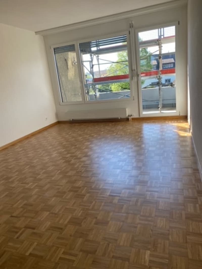 Appartamenti di 4 locali e mezzo ristrutturati in affitto in una zona tranquilla! (3)
