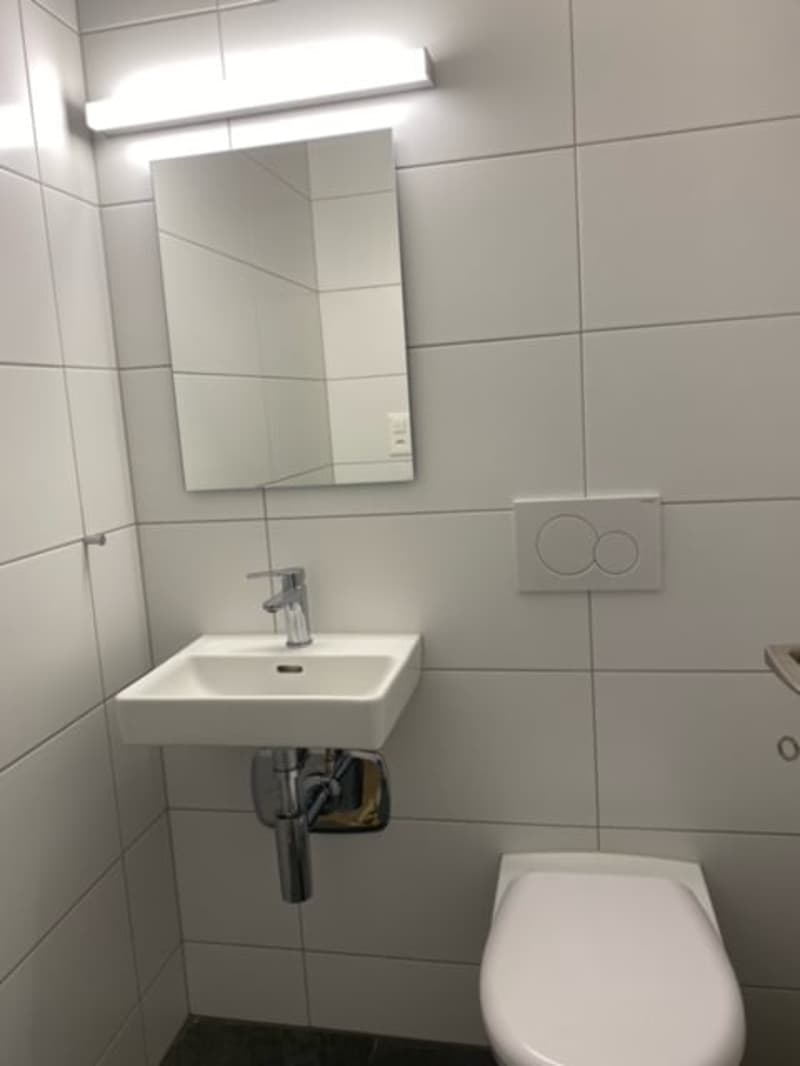 Appartamenti di 4 locali e mezzo ristrutturati in affitto in una zona tranquilla! (7)