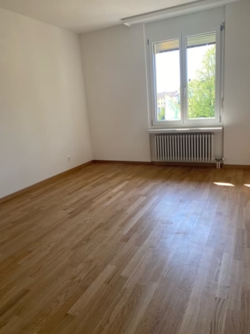 Appartamenti di 4 locali e mezzo ristrutturati in affitto in una zona tranquilla! (4)