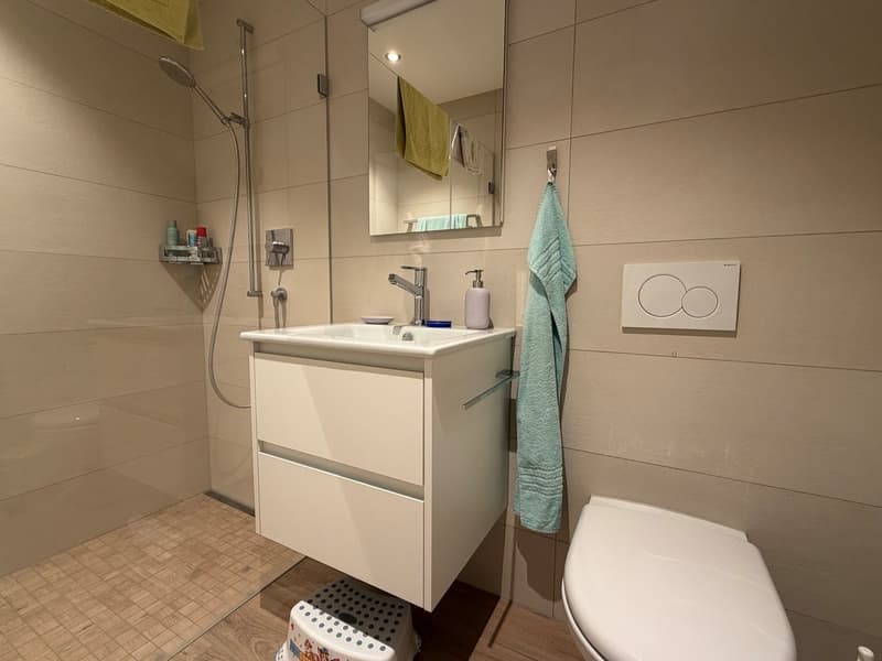 Appartement moderne 4.5 pièces dans un quartier calme à Zürich-Höngg (3)
