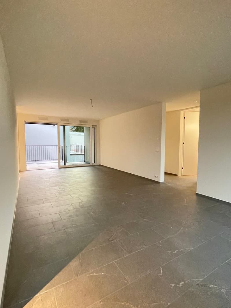 Large, high-quality 4.5-room apartment in a new building (3)