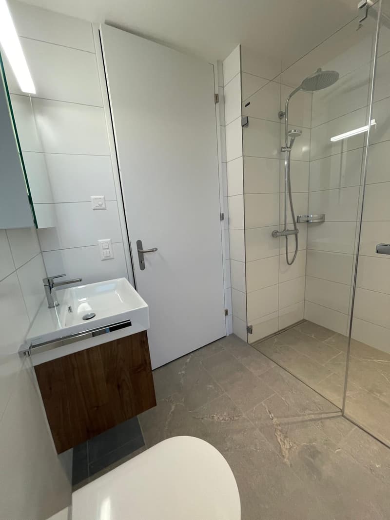 Large, high-quality 4.5-room apartment in a new building (5)