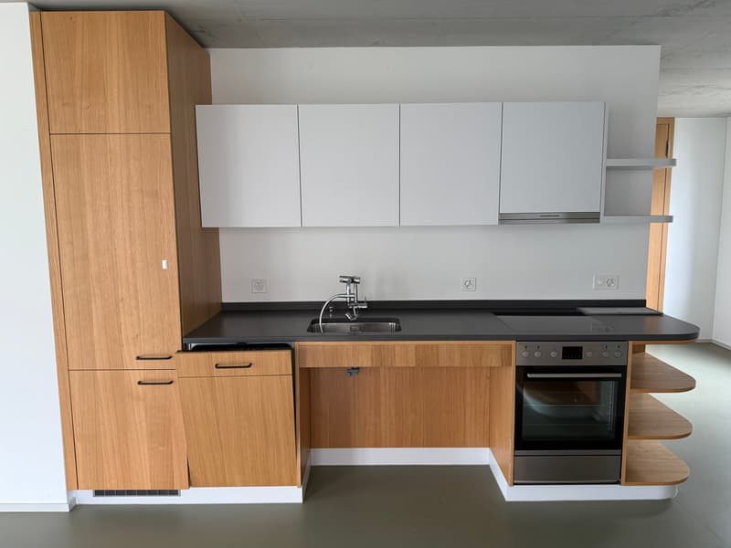Appartamento senior moderno 2.5 locali direttamente sul Limmat (5)