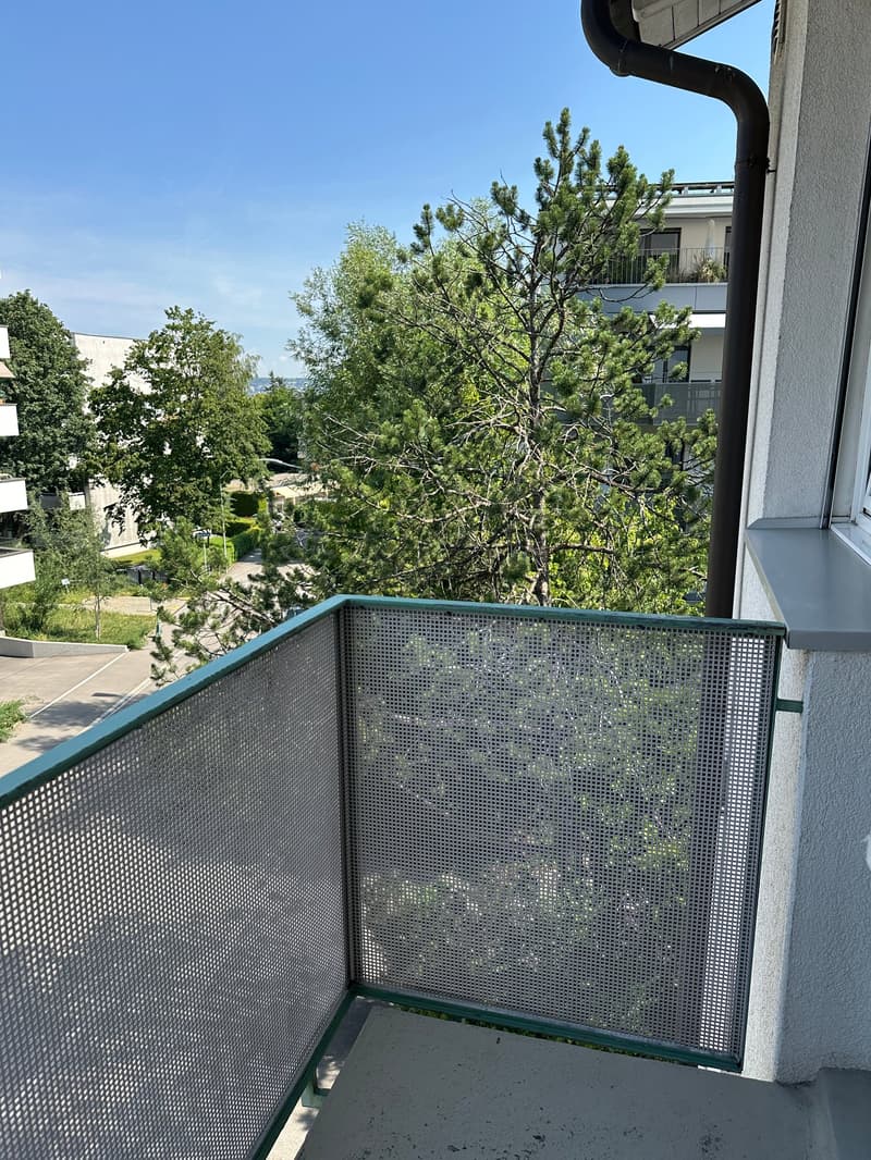 Bel appartement 4.5 pièces dans un endroit calme mais central! (9)