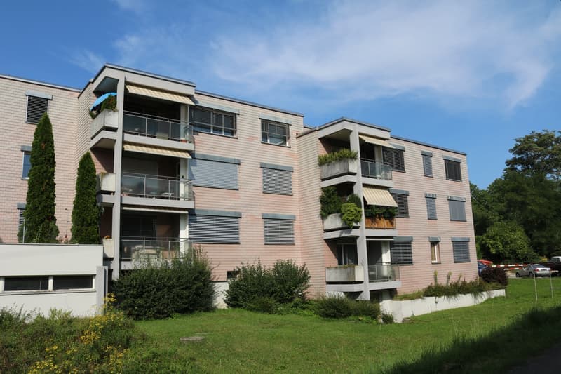Grosszügige 4.0-Zimmerwohnung zu vermieten! (1)