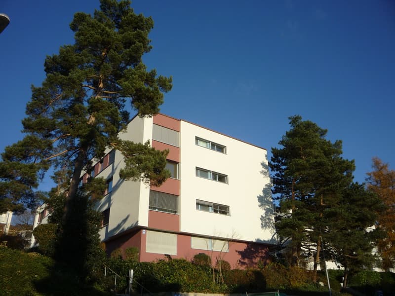 Appartamento soleggiato di 3 locali con balcone sulla Segantinistrasse (1)