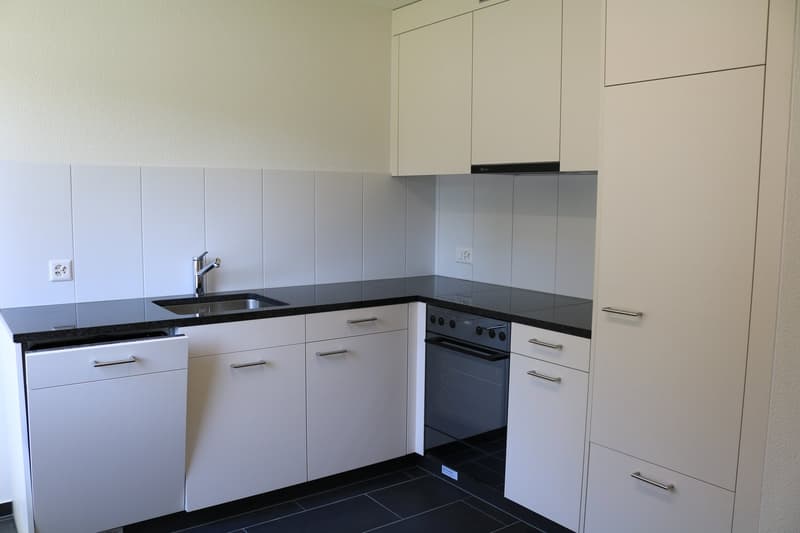 Modern 1 1/2 room apartment in a quiet location for rent! (2)