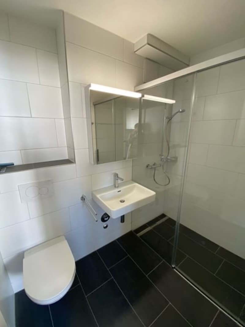Modern 1 1/2 room apartment in a quiet location for rent! (3)