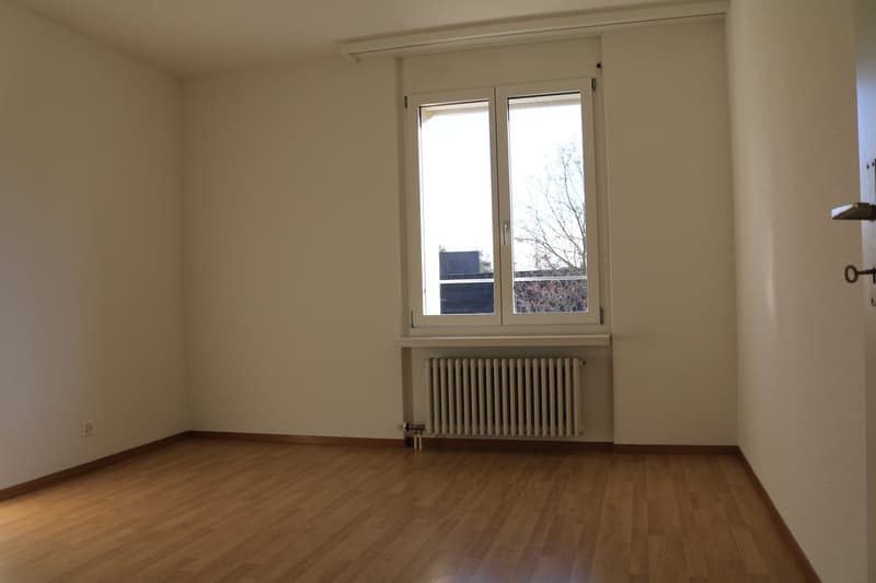Schöne, renovierte 3 1/2-Zimmerwohnung zu vermieten! (6)