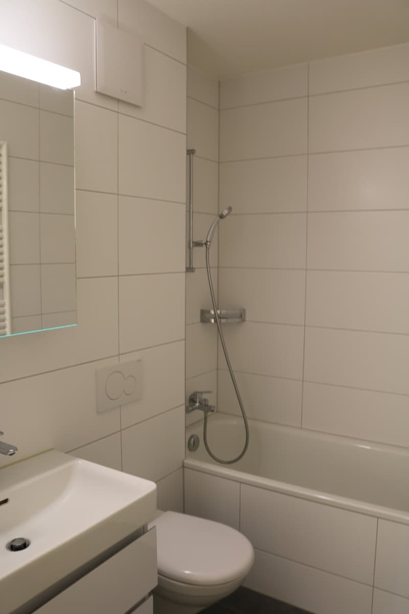 Schöne, renovierte 3 1/2-Zimmerwohnung zu vermieten! (4)