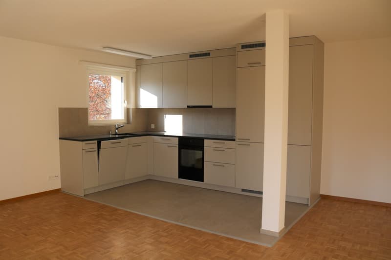 Schöne, renovierte 3 1/2-Zimmerwohnung zu vermieten! (2)