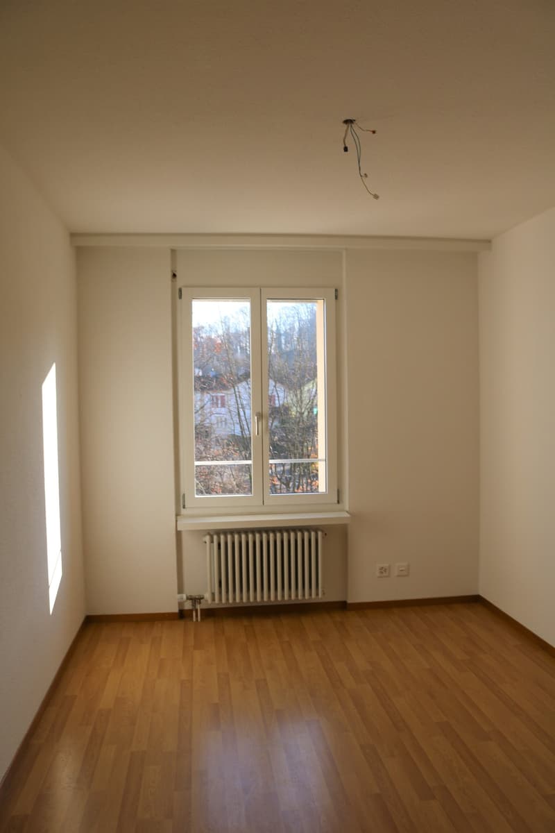 Schöne, renovierte 3 1/2-Zimmerwohnung zu vermieten! (5)