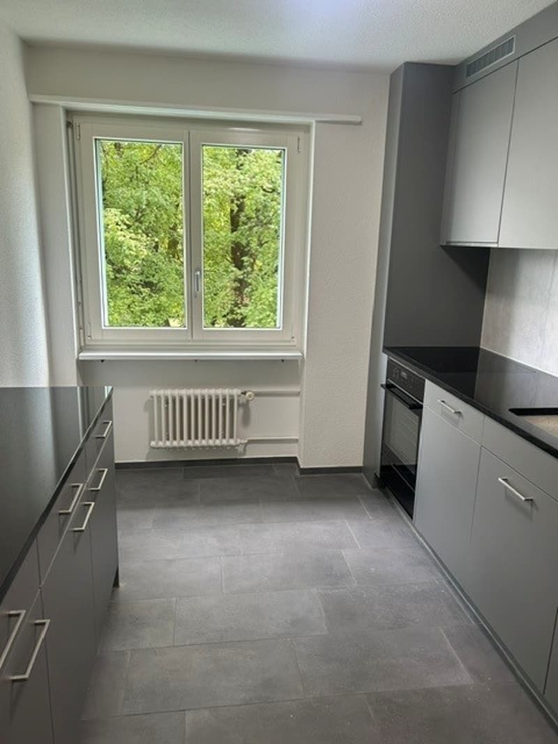 Erstvermietung helle 3-Zimmer-Wohnung mit Balkon und schöner Aussicht in Opfikon (1)