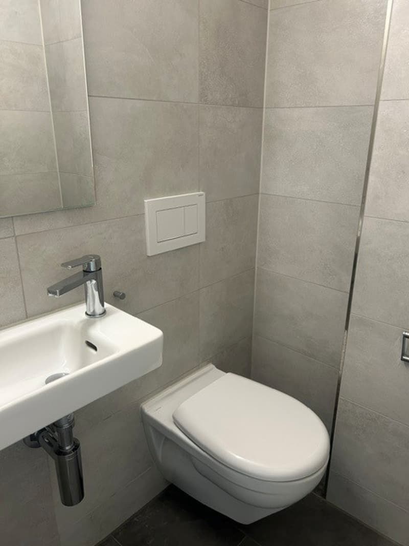 Erstvermietung helle 3-Zimmer-Wohnung mit Balkon und schöner Aussicht in Opfikon (3)