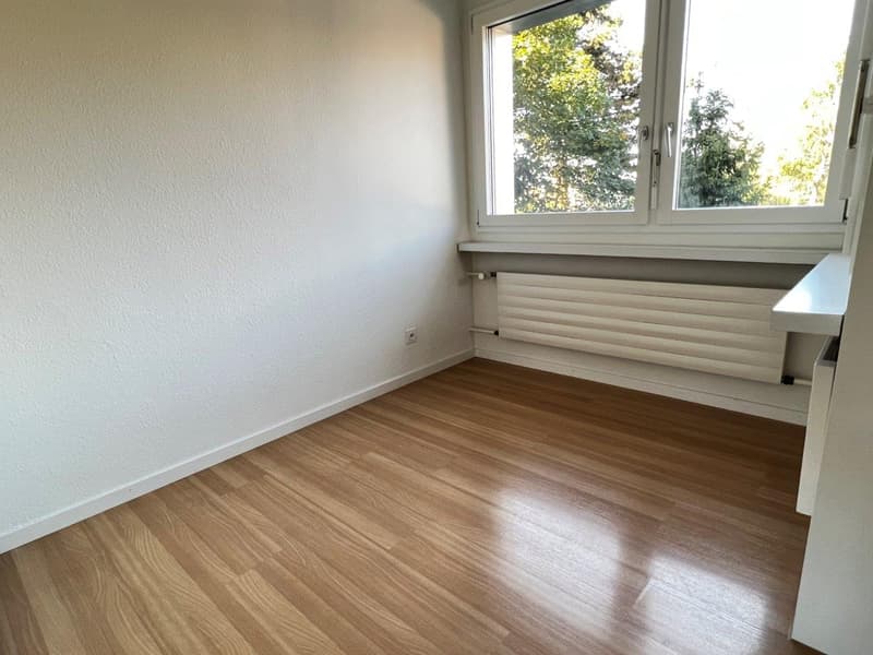 Schöne 1 1/2-Zimmerwohnung an ruhiger und sonniger Lage im Grünen (5)