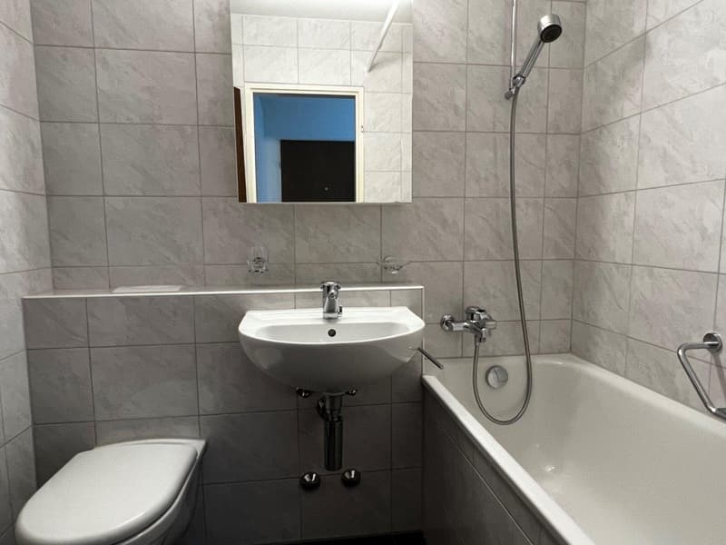 Schöne 1 1/2-Zimmerwohnung an ruhiger und sonniger Lage im Grünen (4)