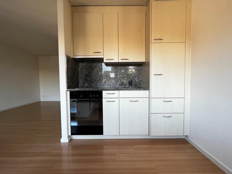 Schöne 1 1/2-Zimmerwohnung an ruhiger und sonniger Lage im Grünen (3)