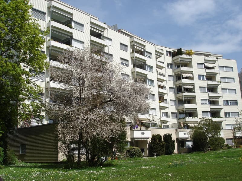 Schöne 1 1/2-Zimmerwohnung an ruhiger und sonniger Lage im Grünen (1)