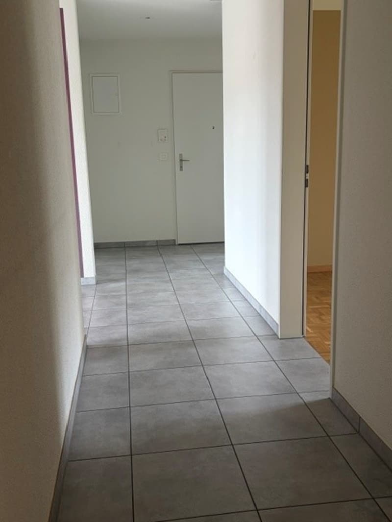 Helle 4.5-Zimmer-Wohnung mit Balkon (8)