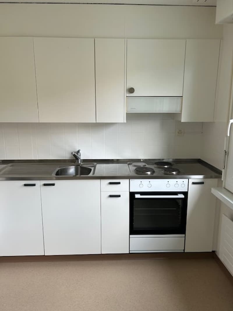 Helle 3-Zimmer-Wohnung mit Balkon in ruhiger Lage – Birmensdorf ZH (2)
