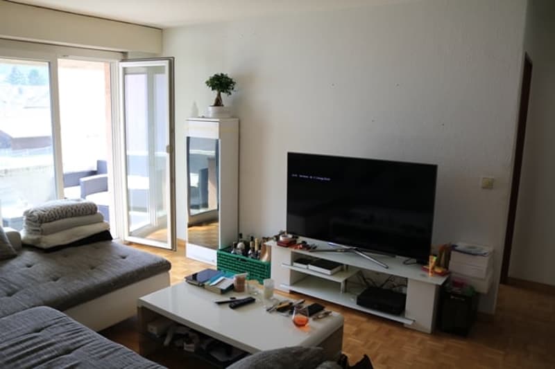 Moderne 4.5-Zimmer-Wohnung mit Sitzplatz in Winterthur (2)