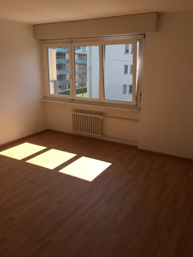 Charmante 3-Zimmer-Wohnung mit Sitzplatz in Winterthur (5)