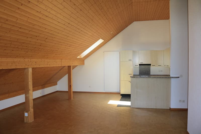Grosszügige Dachwohnung an ruhiger Lage (3)