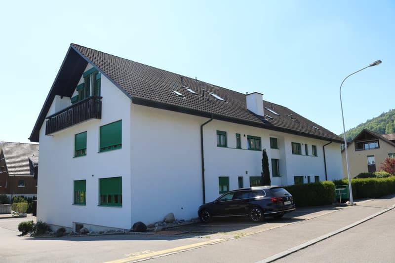Grosszügige Dachwohnung an ruhiger Lage (1)