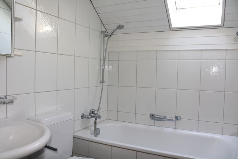 Grosszügige Dachwohnung an ruhiger Lage (6)